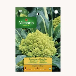 Semilla brocoli romanesco natalino