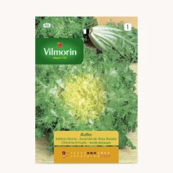 Semilla escarola hoja rizada de ruffec