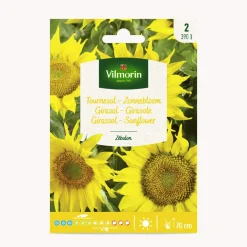 Semilla girasol zebulon