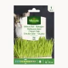 Semilla hierba para gatos
