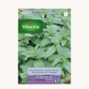 Semilla menta piperita