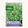 Semilla oregano-mejorana