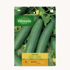 Semilla pepino marketer