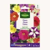 Semilla petunia superbissima