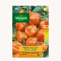 Semilla pimiento magnum habanero naranja