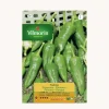 Semilla pimiento padron
