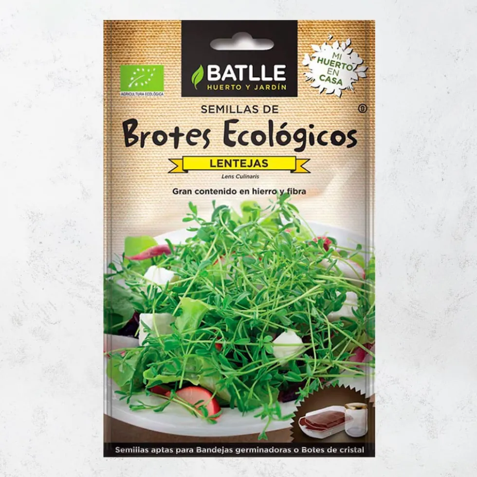 Semillas brote lentejas
