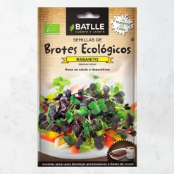 Semillas brote rabanito