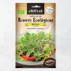 Semillas brotes rúcula eco