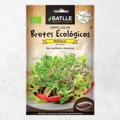 Semillas brotes rúcula eco