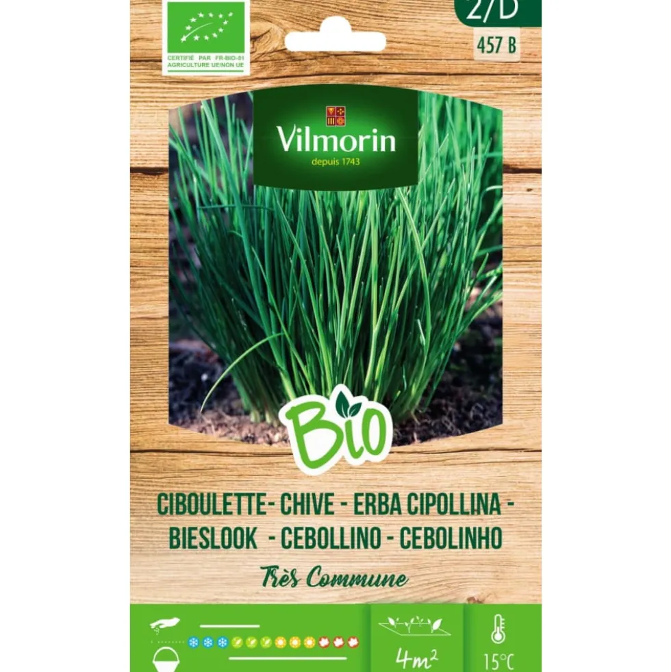 Semillas Cebolleta Bio Vilmorin