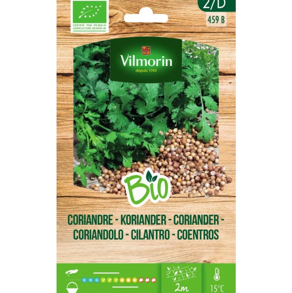 Semillas Cilantro Bio Vilmorin