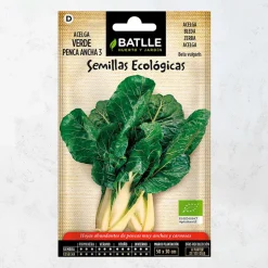 Semillas ecológicas de acelga verde de penca blanca