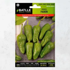 Semillas pimiento padron