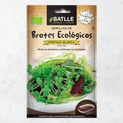 Semillass brotes mostaza blanca eco