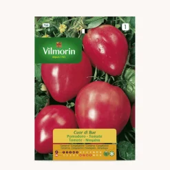 Semilla tomate corazon de buey