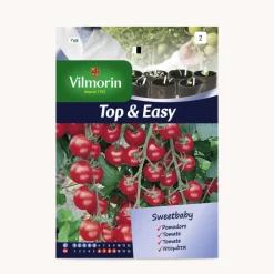Semilla tomate sweetbaby
