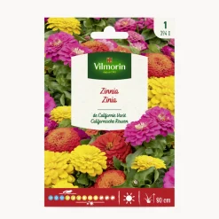 Semilla zinnia de california