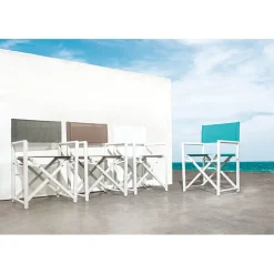 Silla de director Bizzotto TAYLOR banca/gris