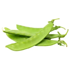 Tirabeques - Planta de huerto