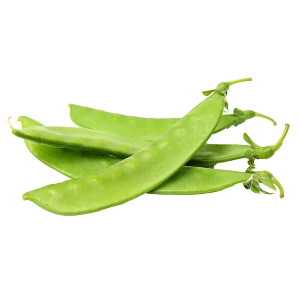 Tirabeques - Planta de huerto