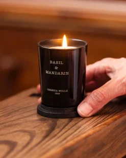 Vela perfumada Cerería Mollá Basil & Mandarin (70 gr)