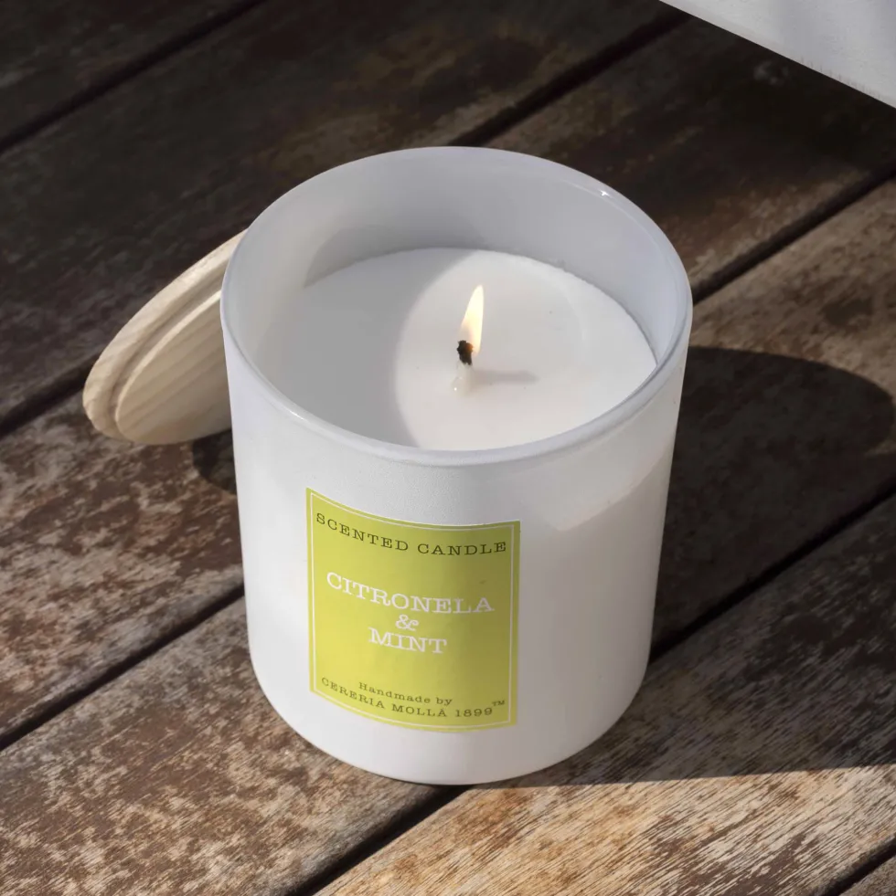 Vela perfumada Cerería Mollá Citronella & Mint (180 gr)