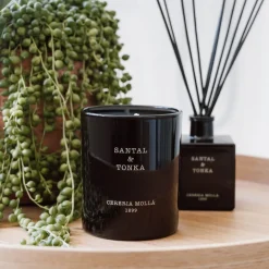 Vela perfumada Cerería Mollá Santal & Tonka (230 gr)