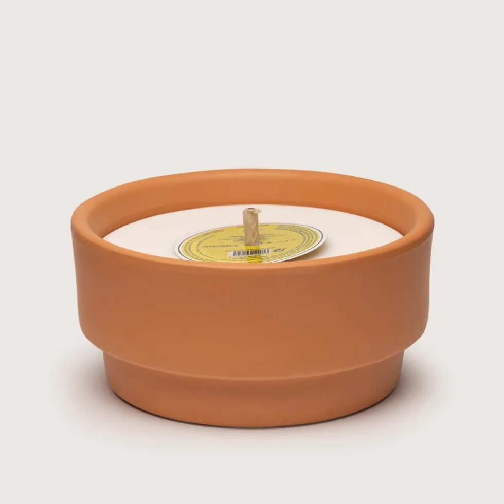 Vela perfumada Cerería Mollá Terracota Citronella & Mint (16 x 9 cm)